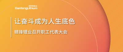 米兰网页版锂业召开职工代表大会 坚持向奋斗者倾斜更多资源