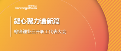 凝心聚力谱新篇 米兰网页版锂业第五届职工代表大会顺利召开