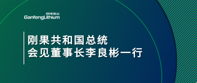 刚果共和国总统会见米兰网页版锂业董事长李良彬一行