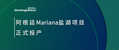 米兰网页版锂业阿根廷Mariana盐湖项目正式投产